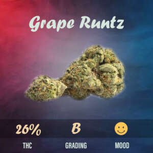 Grape Runtz