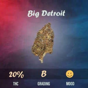 Big Detroit