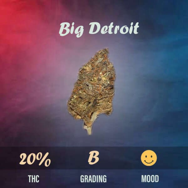 Big Detroit