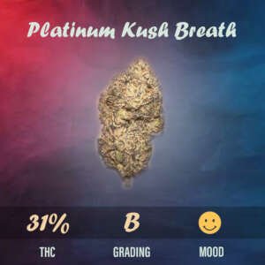 Platinum Kush Breath