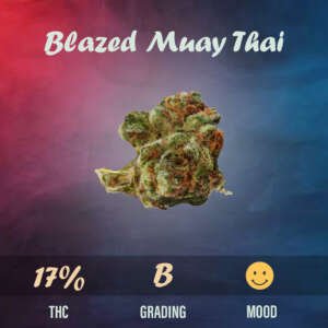 Blazed Muay Thai