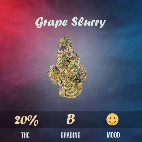 Grape Slurry