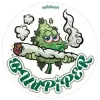logo budpiper